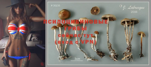 прущие грибы Нея