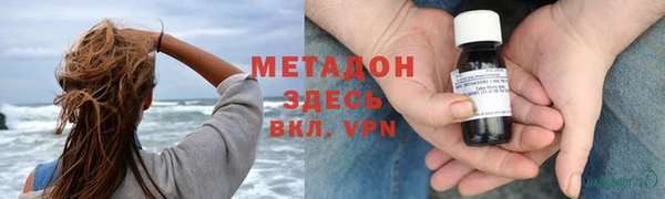 прущие грибы Нея