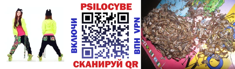 Псилоцибиновые грибы мицелий  Курганинск 
