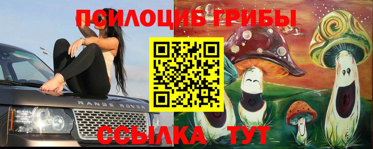 Галлюциногенные грибы мухоморы  Вход с VPN  Галлюциногенные грибы GOLDEN TEACHER  даркнет сайт  Курганинск 