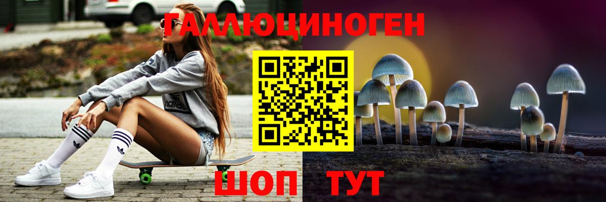 Псилоцибиновые грибы Psilocybine cubensis Курганинск